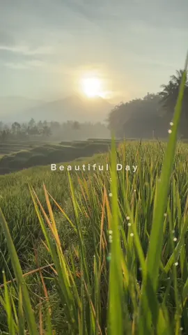 Ubudnya Malang selatan #sunrise #ubudmalang #pamotan #pamotandampit #malangselatan #pesonamalang #sawahpamotan 