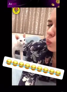 صباح الخير يا عصام 😂 #fyp #ArabTikTok #🇹🇳🇹🇳 #dhahktounsi #noukat_tounsia 