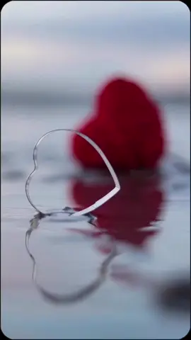 #capcut  #tembok pemisah #merryandani 