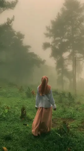 Membalas @dnd aaa langsung ke inget my heart 🥺✨🍃🍂   #hutanpinus #kabut #4u #xyzbca #foryou #fypシ #fairycore #cottagecoreaesthetic #cottagecore #countryside #hutanpinustinambung #corememories #fyp #magical 