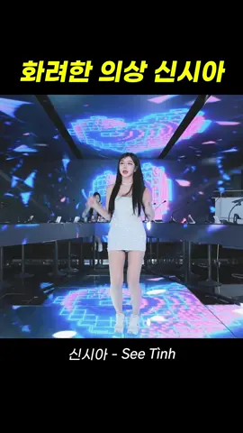 팬더스쿨 bj신시아 - 띵띵땅땅 -  #팬더티비 #팬더스쿨 #엑셀방송 #리액션 #여캠 #댄스커버 #dance #추천