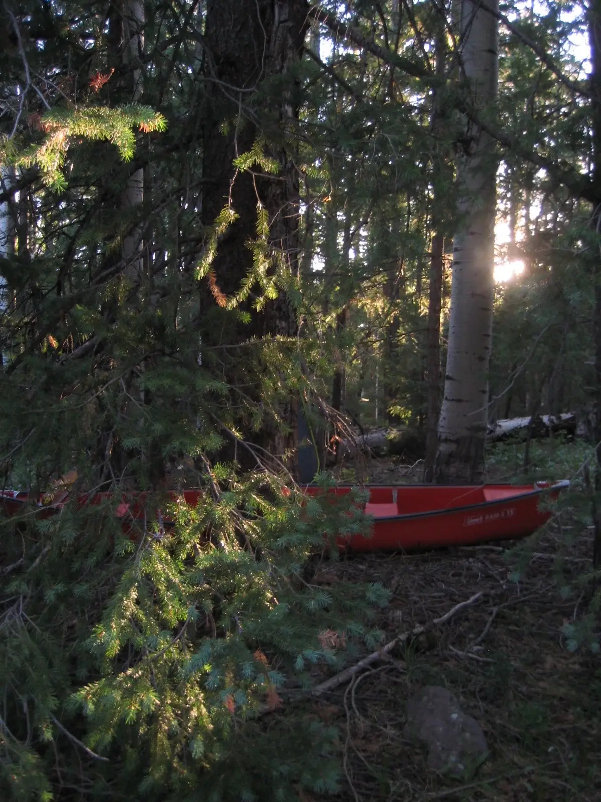 some flicks i took while camping