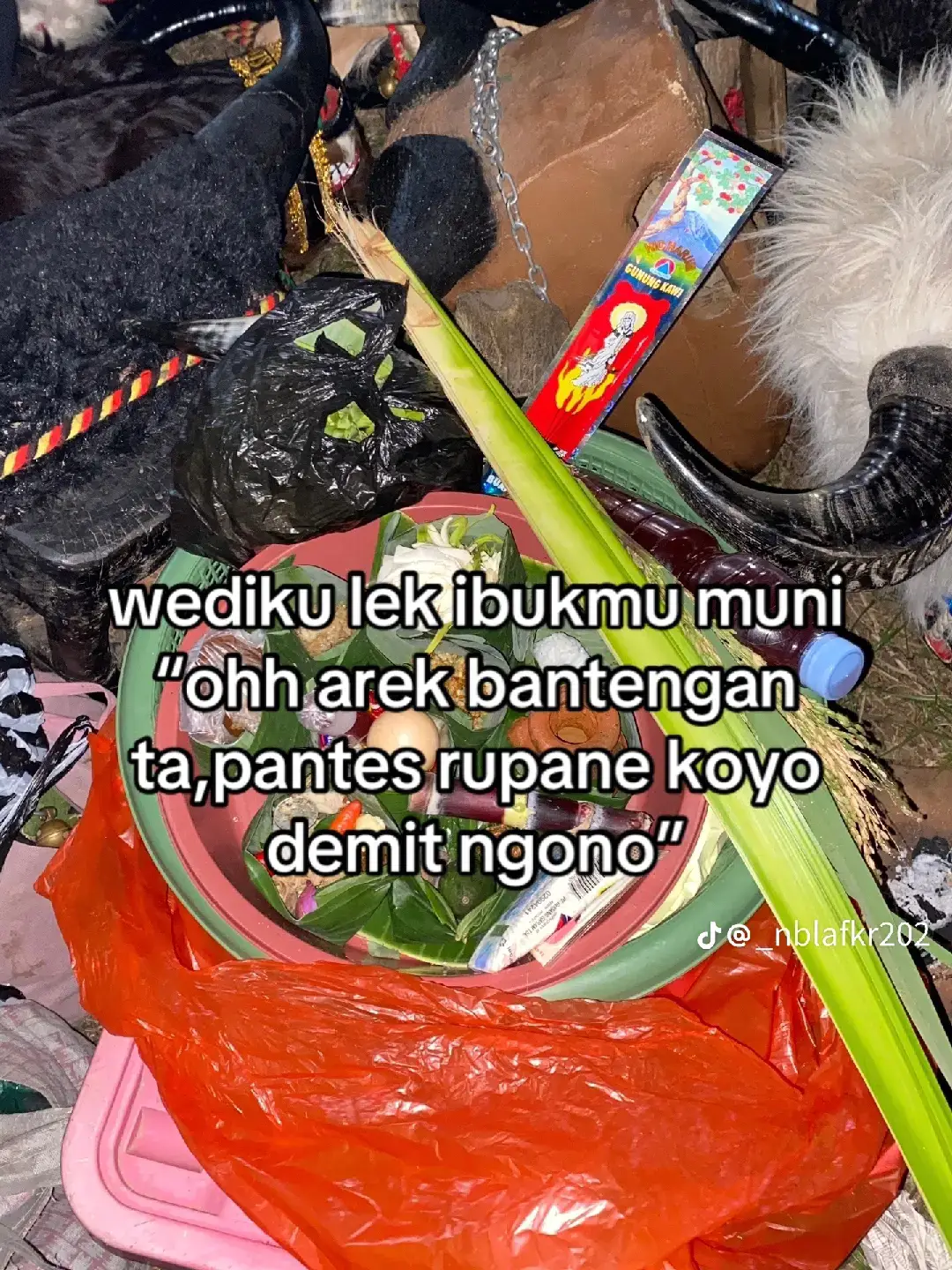 #fyppppppppppppppppppppppp #satriabantengloreng #mberotmberotmaszeh 