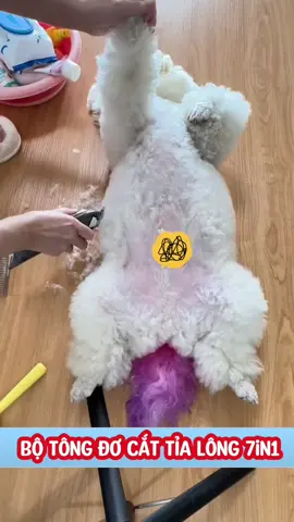 Mùa nóng này không cạo bớt lông cho tụi nhỏ thì dễ bị ghẻ, nấm ngứa lắm#cute #cutedog #puppy #puppydog #doglover #animals #dog #fyp #dogsoftiktok #pet 