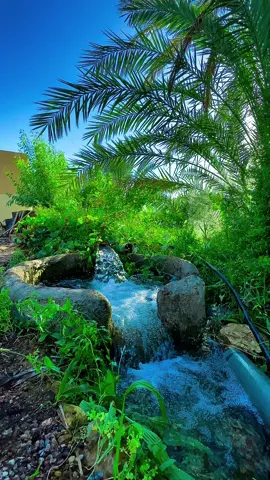 عايشين ويه اهلكم لو لا ؟ #المصور_غزوان_النمراوي #تصويري #fypシ 