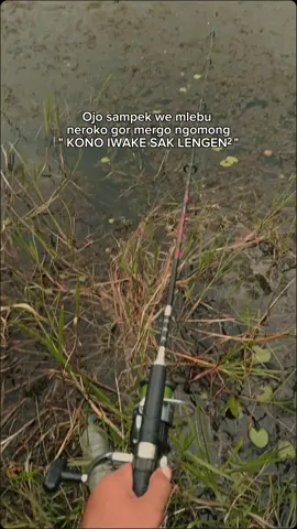 Ojo ngapusi cahh👋👋