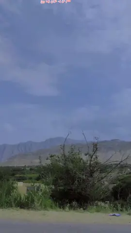 جا جہ کش کہ ستہ قلم نن بہ گران ؤی#viralvideo #foryou #typシ #foryoupage❤️❤️ #viral #typシ #foryou #Typs #viralvideo #foryou @S━━╬٨ـﮩﮩ❤٨ـﮩﮩـ╬━M @😎Not your jk🧠 @Star__of__Sinjawi🔹 