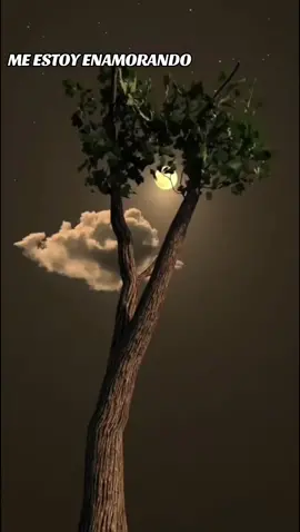 ME ESTOY ENAMORANDO 💕 ALEJANDRO FERNÁNDEZ 💕  #alejandrofernández #meestoyenamorando #musica #musicaromantica #musicadelayer #delrecuerdo #romantica #baladas #paradedicar #pararecordar #scenary #beauty #nature #landscape #paisajesnaturales #longervideos #paisajes_hermosos #viralvideo #parati #Viral #fypシ゚viral #fypシ゚ #fyp 