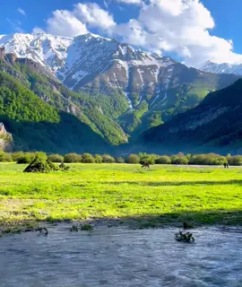 part 6 (vinland 🌱✨) |#nature #vinland #fyp #viral 