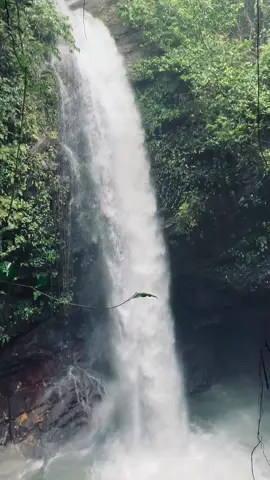 #rumahkay #maluku #serammaluku #serammalukuindonesia🌴 