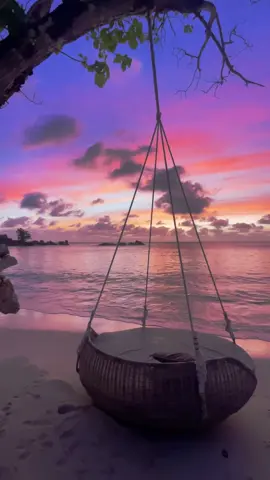 Beach & sunset 😍🌅💕 #seychelles #seychellestiktok🇸🇨 #constance #hotel #beachvibes #sunset #goldenhour #plage #coucherdesoleil #beautifuldestinations #dream #paradise #paysage #ocean #viral #traveltiktok #foryou #Love #romantic 