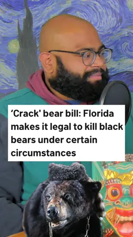 CRACK BEAR #bear #animals #law #usa #florida #film #news #nature  #selfdefense #fyp #foryou #podcast #viral #trending #fypage #foryoupage #like #Love #justforfun #grasstooth #shorts #tiktokshort 