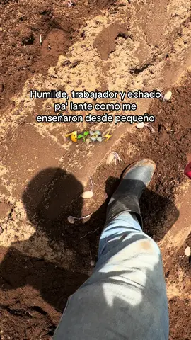 #algobellopalcamello🐫💵 #frasesbelicas🍀📿🧿 #trabajo #agricultura #algobien #humildad #paratii #agricultores #🤠🤠🤠 #belico 