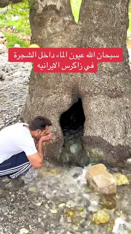 #اجواء_خيالية_ترد_روح💛😴_جمال_الطبيعه_في_شمال_ايران_رامسر 