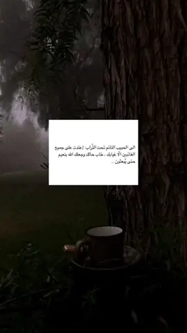لـ فقيدي أخي ❤️‍🩹 #فقدان_الأخ_كفقدان_الروح💔  #فقيدي_اخي #بدون_موسيقى #اقتباسات📝 