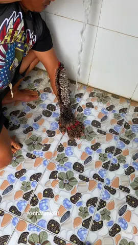 # his hand is stuck in the cellar #lice #ticks #ticktock #tiktokindia #tickseason #foyou #nhatsolo81 #fypシ゚viral #fypシ 