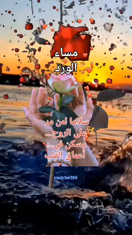 سلاما لمن مر على الروح وسكن في أعماق القلب ، مساء الخير #مساء_الخير #مساء_الحب_والسعاده #مساء_الخير_يا_وجوه_الخير #مساء_الخير_يا_وجوه_الخير #مساء_الحب #مساء_الروقان #مساء_السعاده #مسائيات#اقتباسات #عبارات #خواطر #حب  #حالات #ستوريات_متنوعه #عرب ##السعودية_الكويت_مصر_العراق_لبنان #المغرب🇲🇦تونس🇹🇳الجزائر🇩🇿 #الاردن🇯🇴 #تركيا #foryoupage #tik_tok #fyp #story @مشاعر 