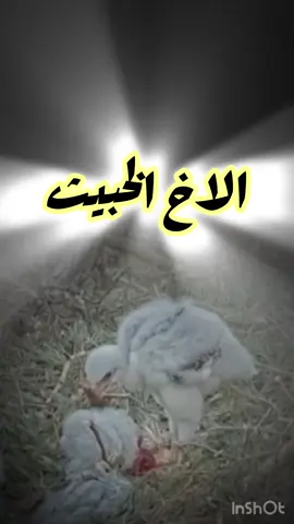 علامات #الاخ #الخبيث  جدة#مكة _الرياض #الاحساء explore