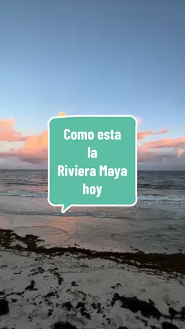Como esta Playa del Carmen Hoy sin filtro #playa #playas #lugares #travel #paraiso #paratiiiiiiiiiiiiiiiiiiiiiiiiiiiiiii #verano #vacaciones #viajeros #viajar #viajestiktok #travel #traveltiktok #mar #oceano #rivieramaya 