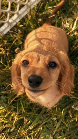 My little squirrel girl 🐿️#corazondemelon #CapCutAmor 