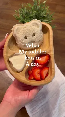 Here is everything i served my toddler today, quick and easy meals #whatmytoddlereatsforbreakfast #whatmytoddlereatsforbreakfast #toddlermeals #kidsmealideas #momlife #momof2 #chiasmash @Yumi Organics  