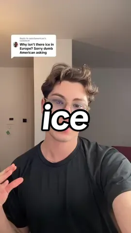 Replying to @seoulamerican #icegate #europe #icedcoffee 