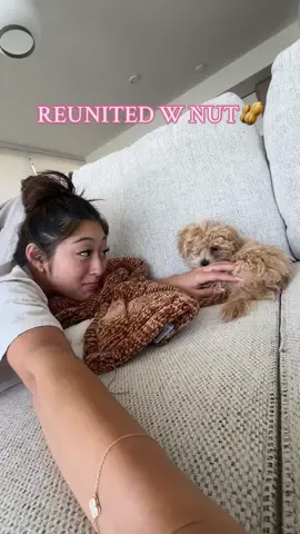 he’s got too much energy for that tiny body🥺