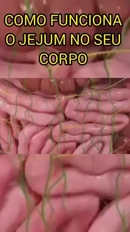 O que acontece com o corpo em jejum?! #saude #biologia #emagrecer #dieta #jejum #alimentacao #curioso #estetica #peso #obesidade #dieta #emagrecimento #saudavel #corpo #shape #fy #foryou 
