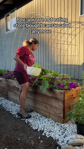 Also check out these sport shorts they are super comfy, with tummy support and hugs your 🍑 like a glove 😍 #tiktokaffiliate #selfsufficientliving #gardening 