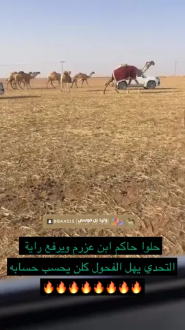 #اكسبلور_تيك_توك #وليد_بن_موسى💥 #اكسبلور_تيك_توك_مشاهير 