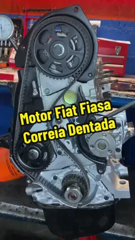 Motor Fiasa sendo montado aqui na oficina, processo de tensionamento da correia dentada 😎 #fy #fyp #fiat #fiasa #oficina #mecanica #arocar 
