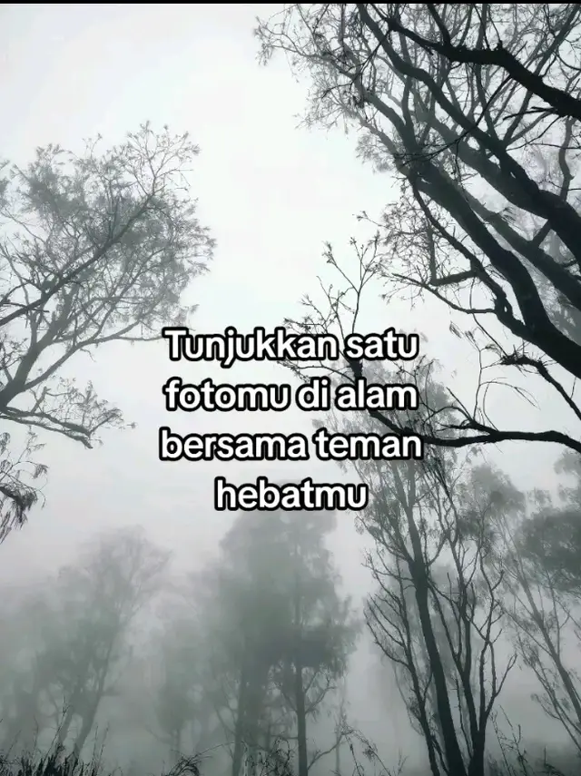 info tek tok mana lagi? #4u #gunungmerbabu #merbabumountain #pendakigunung #merbabumountain #fyp 