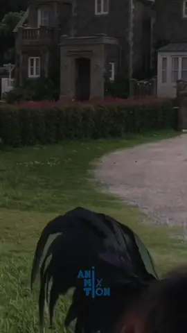 #Salamlar #hərksə #keşfet #keşfet #fby #fby #fby #fby 