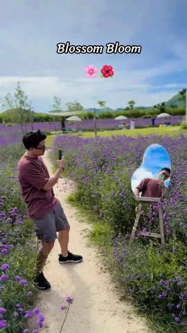 Blossom Bloom 🌸🌺.                     #blossom #bloom  #flower #cafe #flowers #CapCut #fyp #fypシ゚viral #fypage 