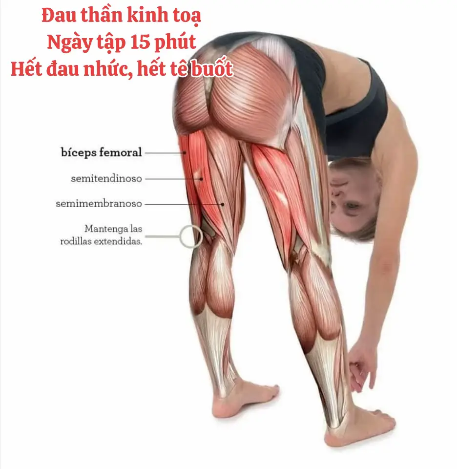 Bài tập giãn cơ vùng mông chân cho bệnh nhân đau thần kinh toạ #trilieu #yhct #xoabopbamhuyet #huongtrilieuyhct #đautktoa 