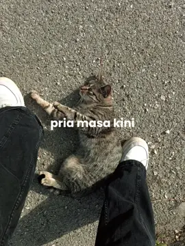 boyband tipe-x🤺 #CapCut #liriklagu #fypシ 