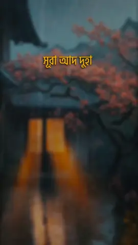 সূরা আদ দুহা || Salim Bahanan #channeljumuah #channeltawbah #foryouシ #fypシ゚ #viralreelsfb #trendingvideo #Surah #fbreelsvideo 