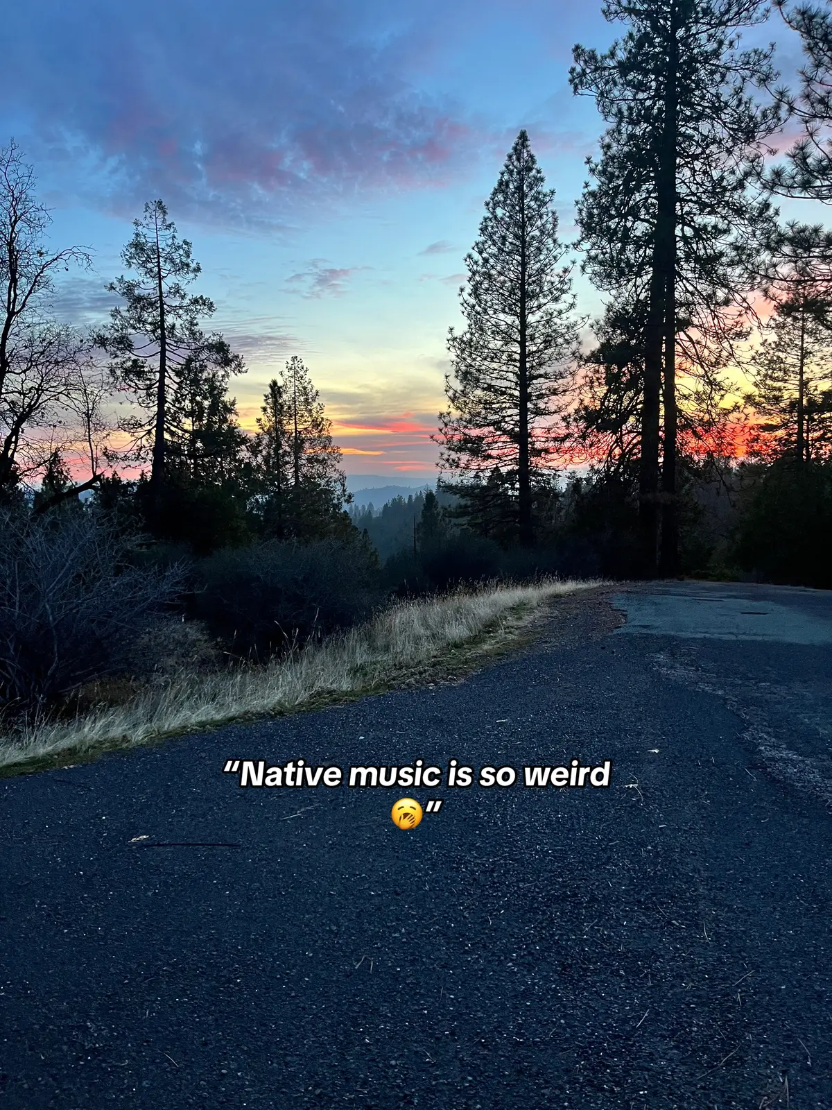 Music is healing to the soul❤️‍🩹✨                      If you’re native what tribe are you from?                                               #chemehuevi #nativemusic #californianativeamerican #nomorestolensistersandbrothers #nomorestolensisters #nativelove #oneloveoneheart #california #nativetiktok #goodmusic #healingnativemusic 