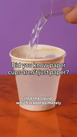 Did you know that paper coffee cups aren't just paper?⁠ ⁠ Watch this video to learn more. Thinking about a reusable cup? We've got you covered, visit keepcup.com to discover our range to suit your on-the-go lifestyle. ⁠ ⁠ #reusablecup #plasticfreejuly #keepcup #coffeecup #takeawaycoffee #recycle #microplastics #coffeelover #coffeetogo #coffee #reusable ⁠