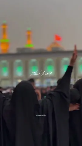 Proud To Be Sunni 🙂❤ || Repost Request || #ayeshaaesticx #foryou #foryoupage #fyp #lyrics #song #karbala #yahussain #hussain #yahassan  #muharram #muharramstatus #status #sunni #karabalastatus 