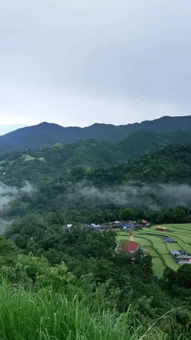 #Story Toraja Aesthetic  #storytime  #kampung#masanda  #tanatoraja_sulawesiselatan 