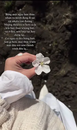 Liệu con đường mình chọn có thực sự là đúng...?🙂‍↕️##sad