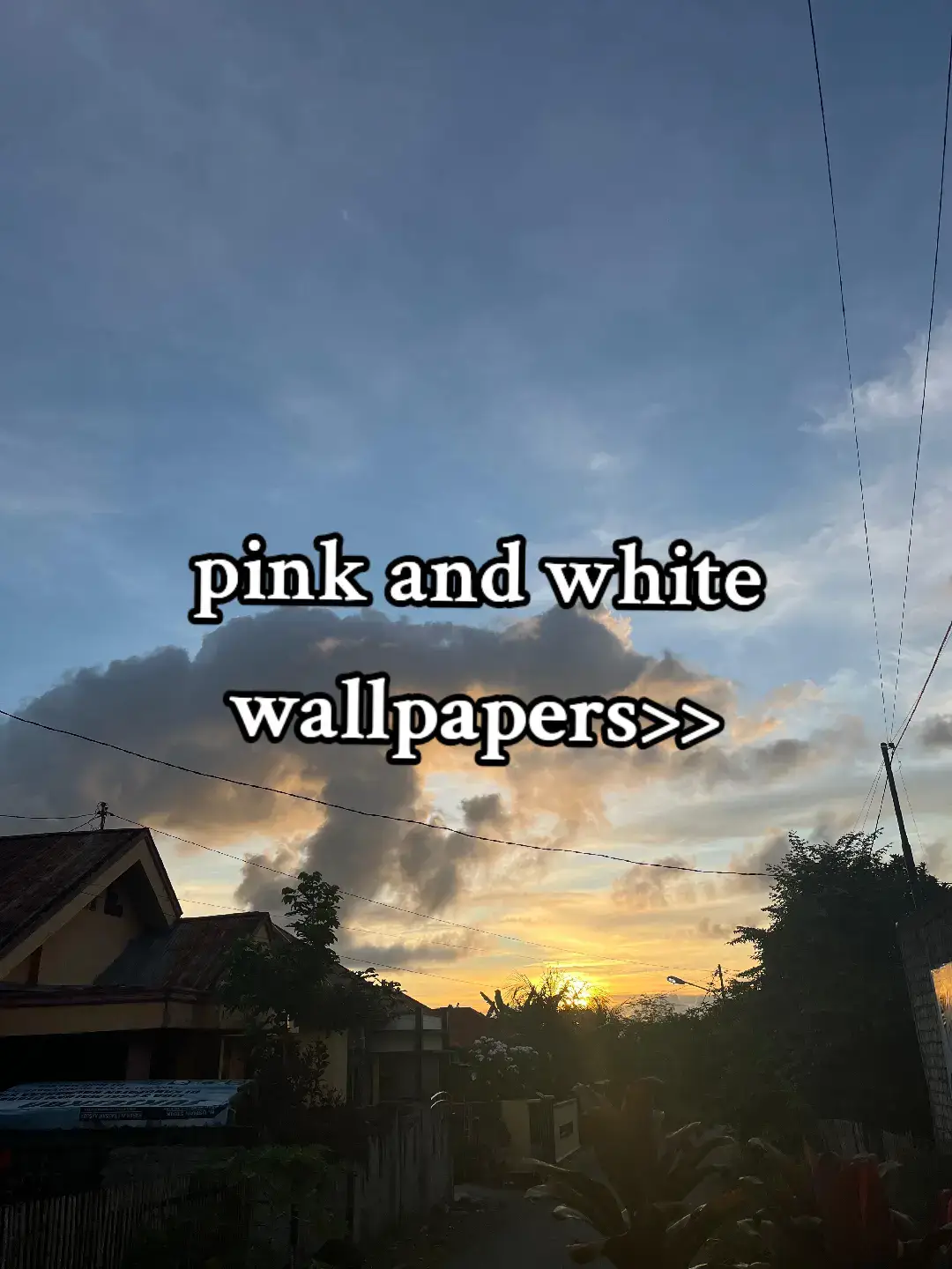 wallpapers aesthetic>>>  #fyppppppppppppppppppppppp #wallpaper 