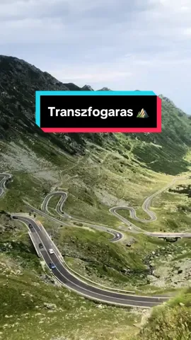 Transzfogaras, medvék és egyéb állatok 🐻🫶🏻⛰️😃 #transfagarasan #transzfogaras #medve #romania #romaniantiktok #Summer #trip #kirándulás #erdély #transfagarasanroad #animals #wildlife #transfagarasanromania #curteadearges #bear #amedvenemjatek 