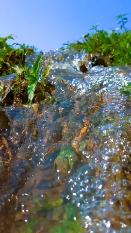 #CapCut #fountain #for #fory #foryou #foryoupageofficiall #foryoupage #trending @For You @TikTok Bangladesh @꧁༺༒Akramul༒༻ ꧂ 