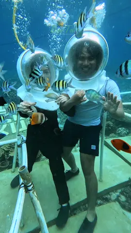 Yok napas di dalem air yok, ada yang mau gak? #seawalker #lampung #wisata #pahawang #opentrip #liburan #snorkeling #diving 
