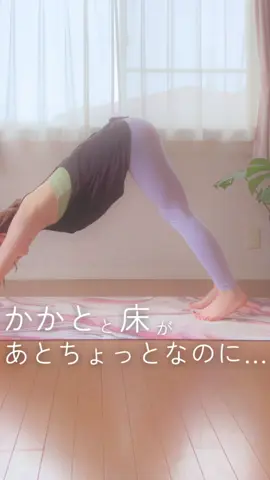 あとちょっとの人！#ヨガインストラクターまみえ #yoga #ヨガ #ヨガ女子 #ダウンドッグ 