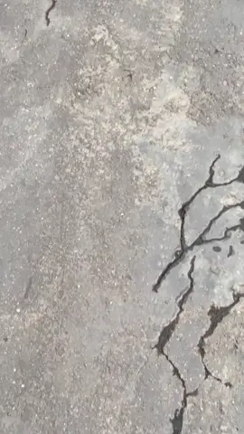 Nyoree all#rxkinggrandong 