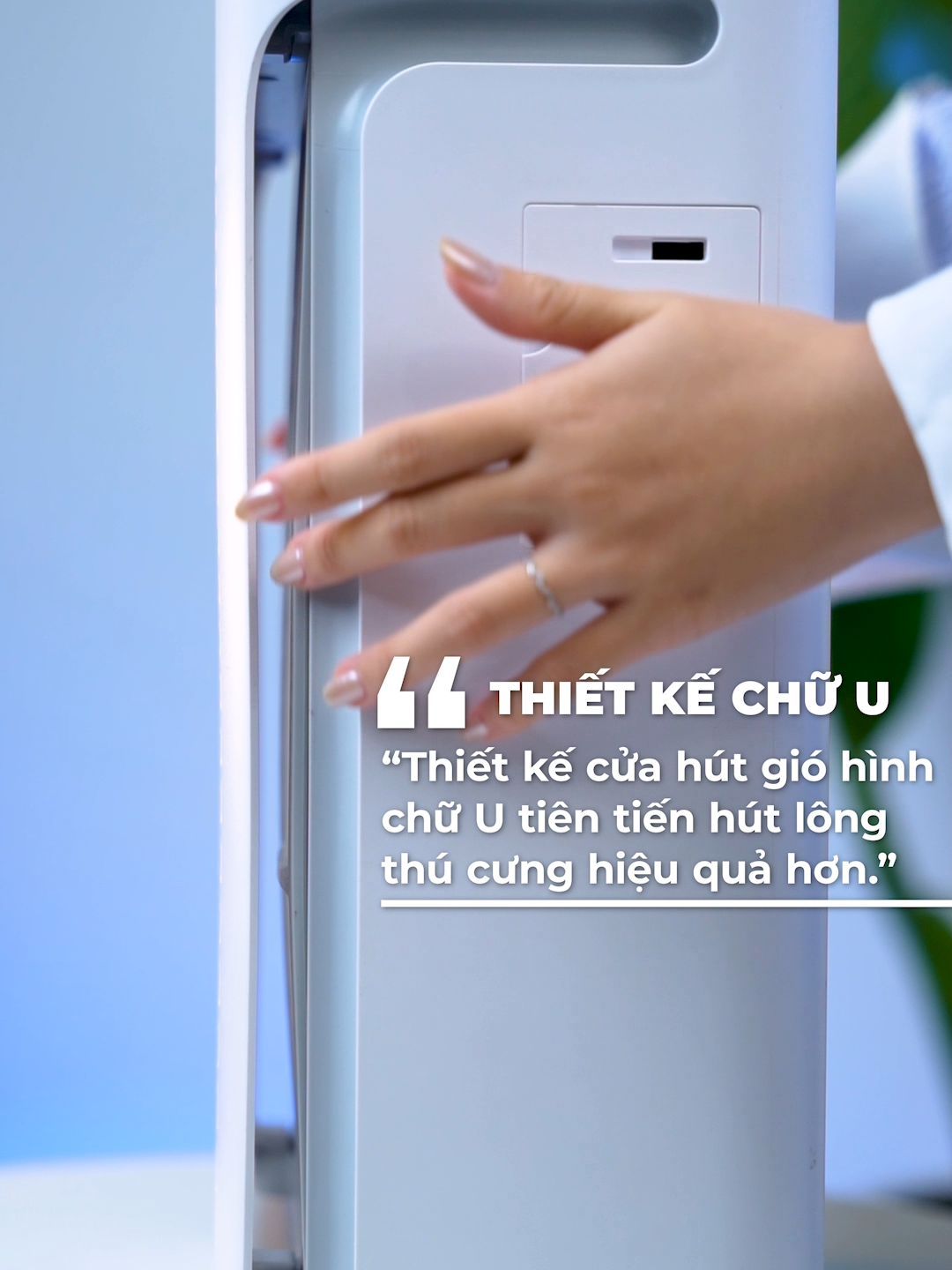 Tại sao Levoit Vital là lựa chọn đầu tiên cho người yêu thú cưng? #LevoitVietnam #maylockhongkhi #chamsocsuckhoe #giadungthongminh #dogiadung #thucung #vital100s #vital200s #pet #petlover