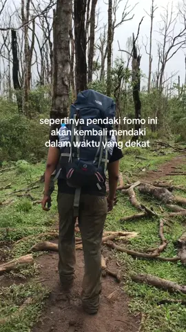 izin post kk 🙏🏻😭 #pendakiindonesia #bulubaria2730mdpl #pendakisantuy #pendakisulsel 